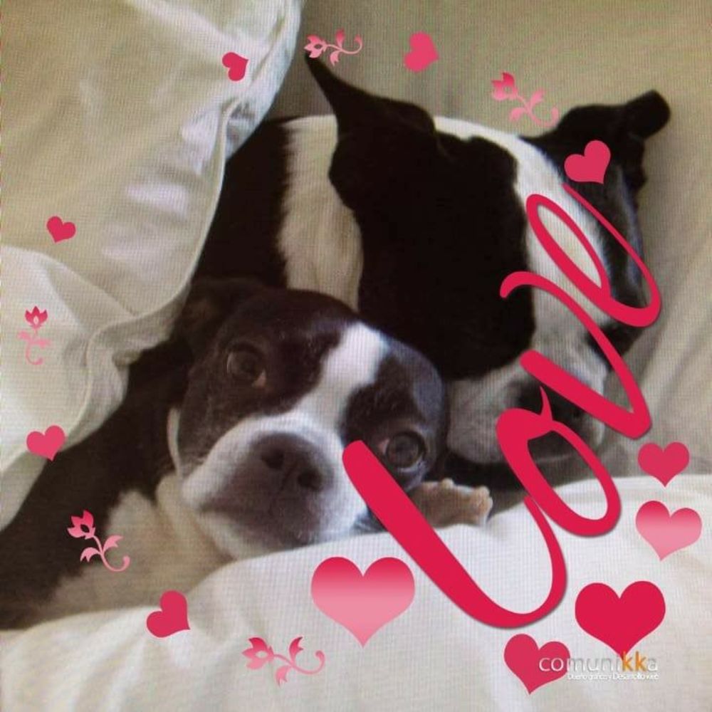 Meet your Posher, Rosemary